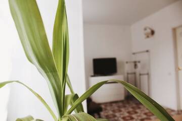 Фото номера Апартаменты Апартаменты VIB Apartment near station г. Витебск 17