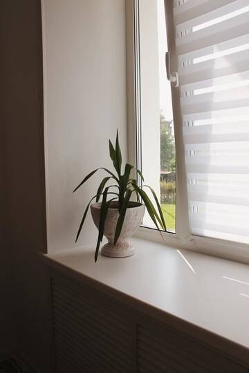 Фото номера Апартаменты Апартаменты VIB Apartment near station г. Витебск 20