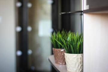 Фото номера Апартаменты Апартаменты Green-Apartament on Internationalistov г. Витебск 48