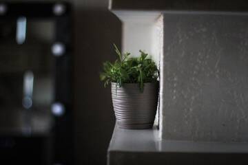 Фото номера Апартаменты Апартаменты Green-Apartament on Internationalistov г. Витебск 15