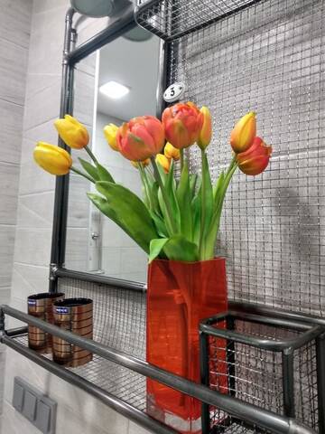 Фото номера Апартаменты-студио Апартаменты Favorite Flats Vitebsk on Beloborodova 1D-2 г. Витебск 38
