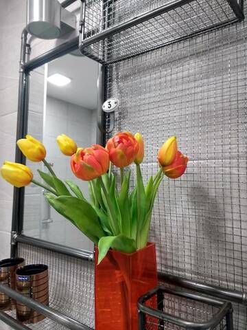 Фото номера Апартаменты-студио Апартаменты Favorite Flats Vitebsk on Beloborodova 1D-2 г. Витебск 37