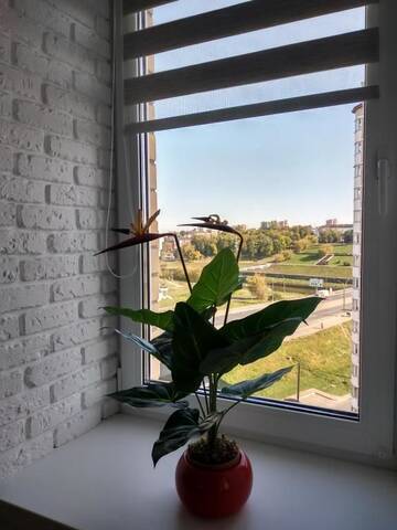 Фото номера Апартаменты-студио Апартаменты Favorite Flats Vitebsk on Beloborodova 1D-2 г. Витебск 94