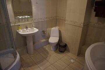 Фото номера Стандартный люкс Отель Zolotoy Telenok г. Витебск 6